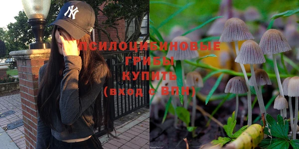 гашик Арсеньев