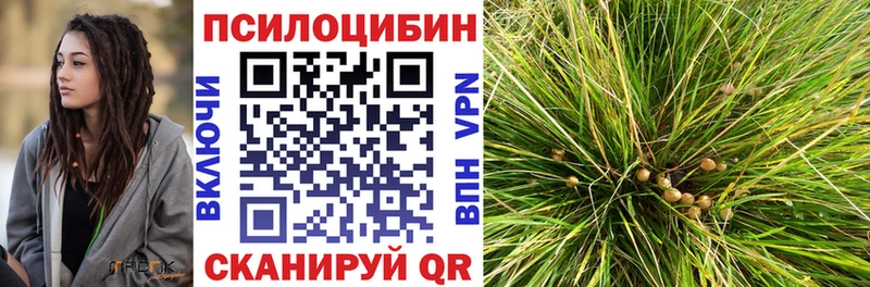 Псилоцибиновые грибы прущие грибы  Калуга 