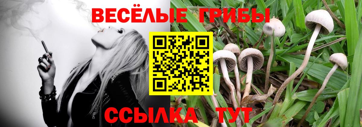 Псилоцибиновые грибы Psilocybe  даркнет сайт  Калуга  Вход с VPN 
